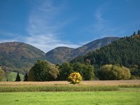 Feriencamping Munstertal Campingplatze Schwarzwald