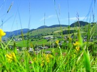 (Bildnachweis: Mit freundlicher Genehmigung Tourist Information Bernau) (Bildnachweis: Mit freundlicher Genehmigung Tourist Information Bernau)