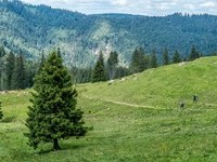(Bildnachweis: Mit freundlicher Genehmigung Tourist Information Bernau) (Bildnachweis: Mit freundlicher Genehmigung Tourist Information Bernau)