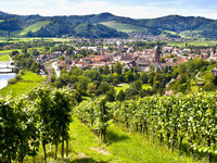 (Bildnachweis: Mit freundlicher Genehmigung der Gengenbach Kultur - und Tourismus GmbH, Fotograf Ralf Greiner) (Bildnachweis: Mit freundlicher Genehmigung der Gengenbach Kultur - und Tourismus GmbH, Fotograf Ralf Greiner)