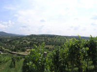  (Bildnachweis: Mit freundlicher Genehmigung der Stadt M�llheim)