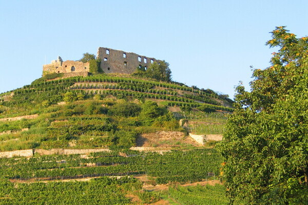 Staufen Copyright: 4ws-Netdesign Staufen Copyright: 4ws-Netdesign